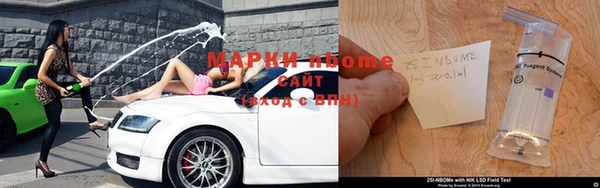 гидра Белокуриха