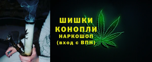 гидра Белокуриха