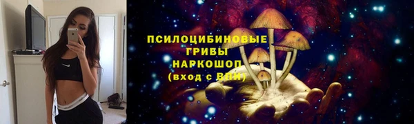 дживик Белоозёрский