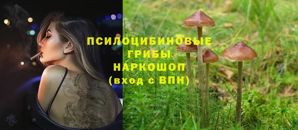гидра Белокуриха