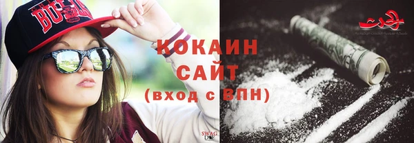 гидра Белокуриха