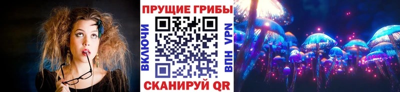 гидра рабочий сайт  Дальнереченск  Галлюциногенные грибы мицелий  где найти  