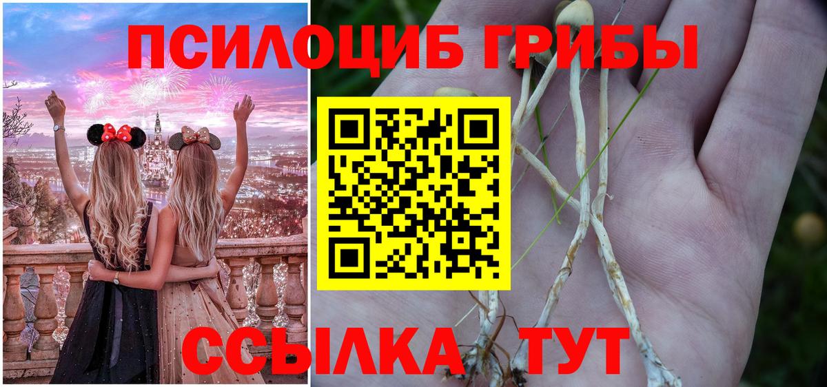 Дальнереченск  Псилоцибиновые грибы Cubensis  Вход с VPN 