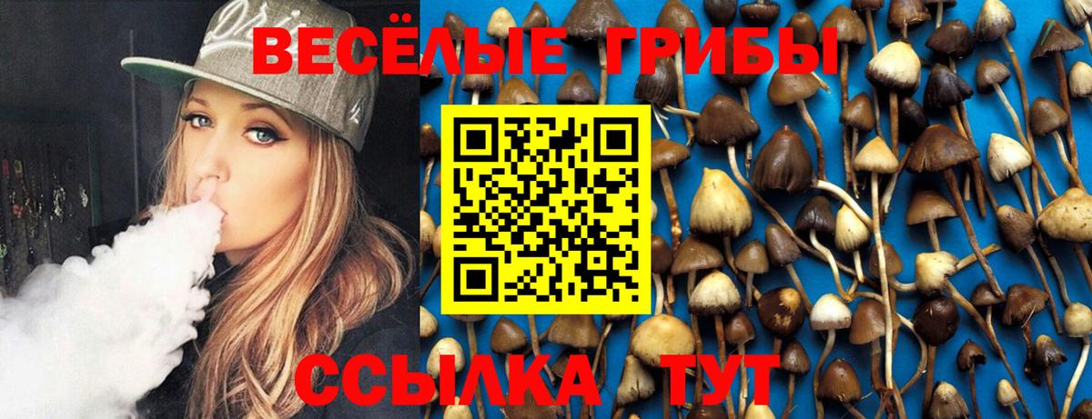 Псилоцибиновые грибы MAGIC MUSHROOMS Дальнереченск