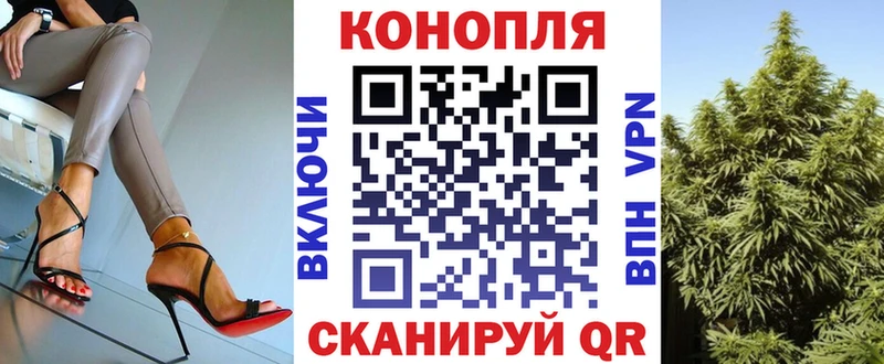 Бошки марихуана THC 21%  цены   Дальнереченск 